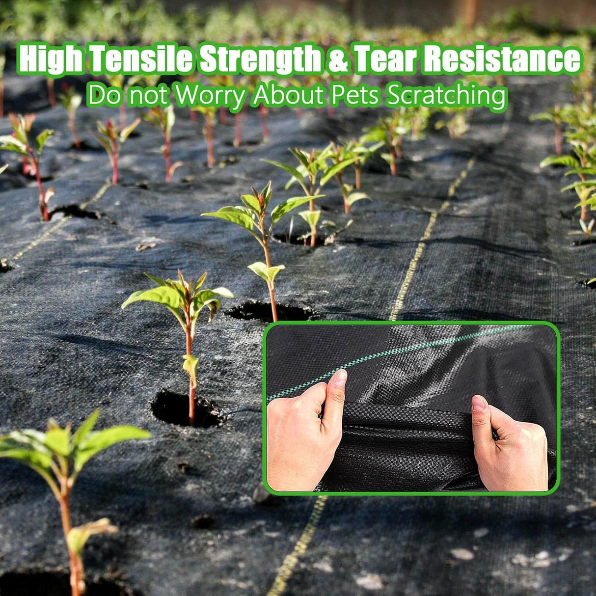 Weed Barrier Landscape Fabric