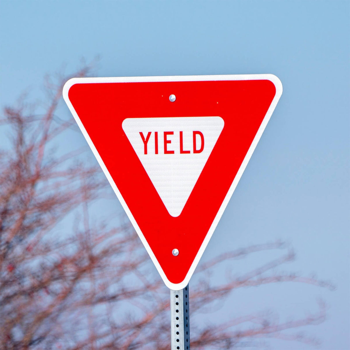 Triangle Yield Signs