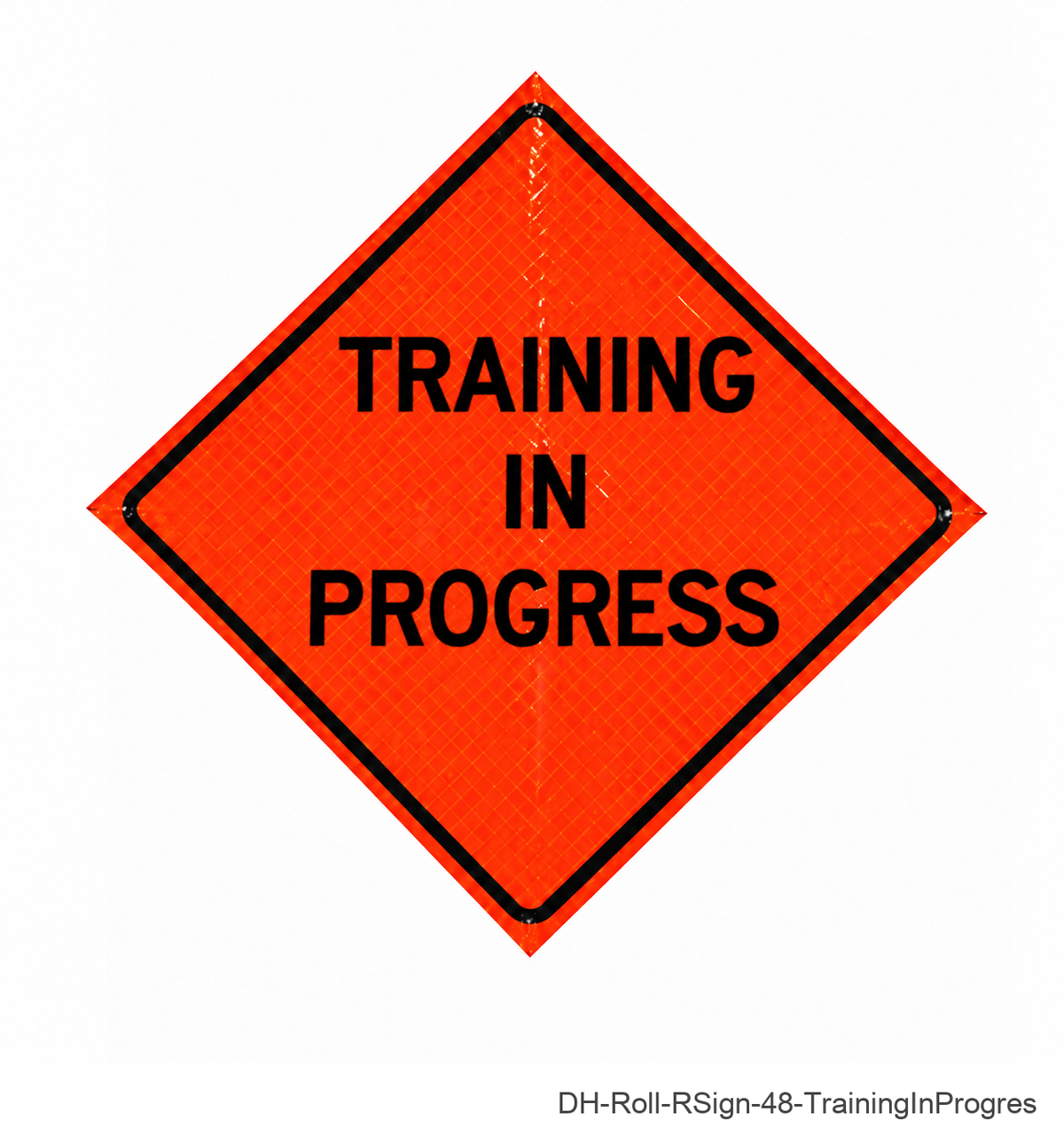 Training In Progress - DH-Roll-RSign-48-TrainingInProgres